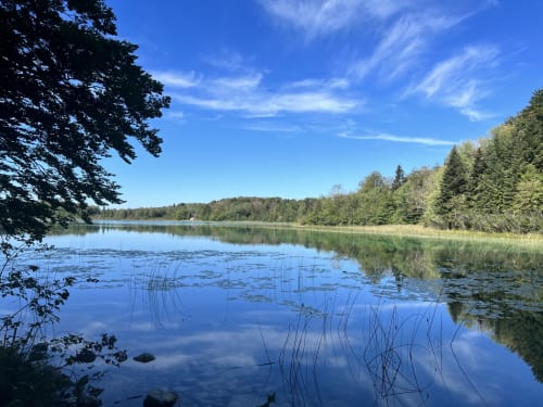 Vue tranquille du lac entouré de forêt aux Gîtes Des Planchettes à Marigny, France