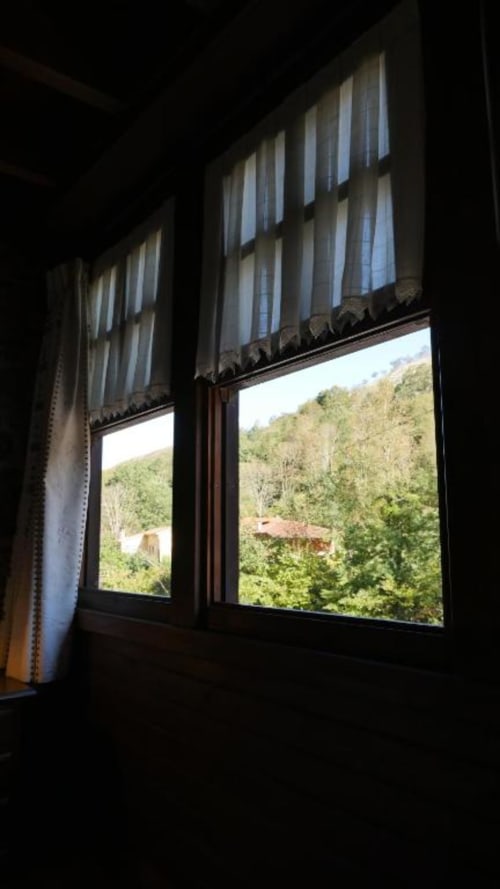Vista desde la ventana de la habitación del Hotel Rural Los Texos con vistas al exuberante bosque verde y jardín de ladera en La Riera de Covadonga