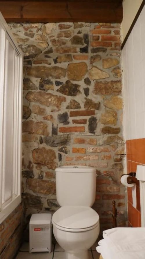 Baño rústico con piedra y ladrillo, inodoro blanco en Hotel Rural Los Texos, La Riera de Covadonga