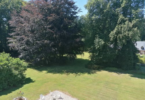 Jardin verdoyant du Chalet Du Bel Event avec arbres matures et pelouse dégagée à La Chapelle-sur-Dun