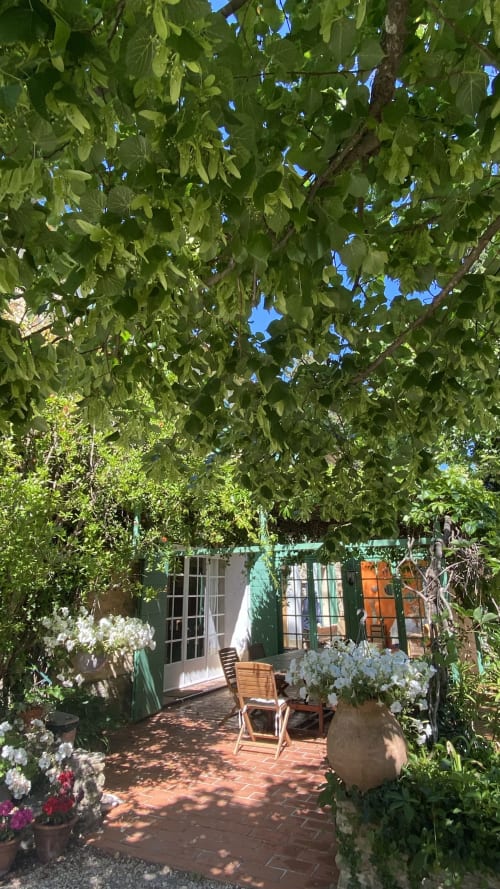 terrasse et verdure