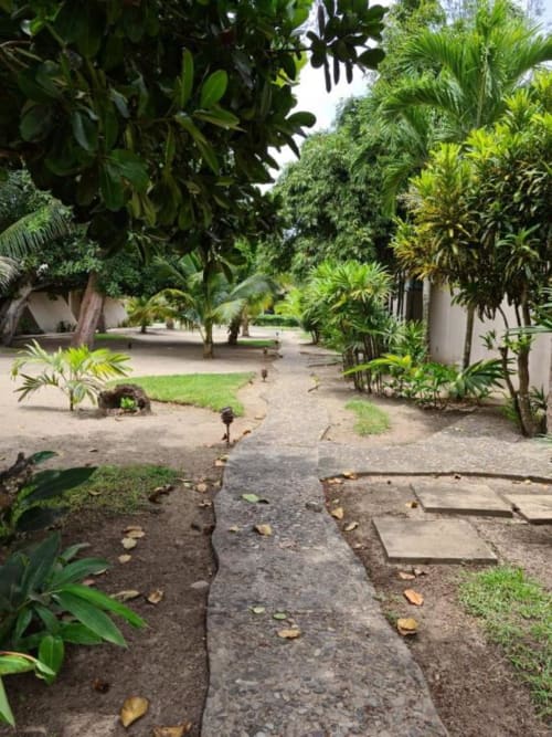 Üppiger tropischer Gartenpfad im Isla Tajín Beach & River Resort in Tuxpan mit Palmen und Steinweg