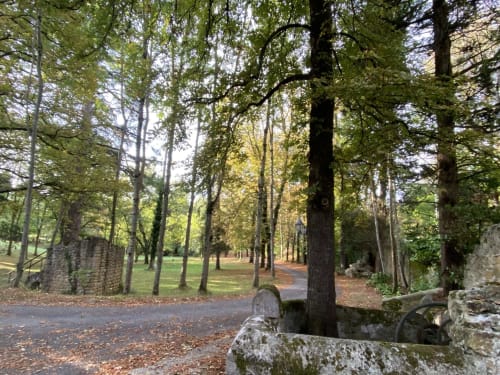 Allées bordées d'arbres dans les jardins du Domaine de Bize Mirepoix, avec pelouses soignées et maçonnerie historique
