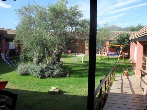 Cortile dell'Agriturismo Su Barraccu a Loceri con ulivo, edifici in terracotta e viste montane rurali