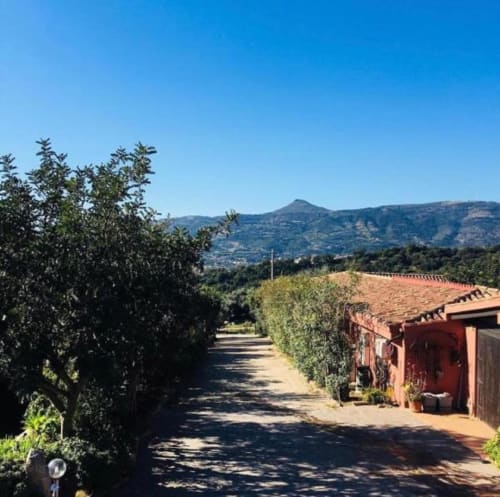 Viale d'accesso all'agriturismo Su Barraccu con ulivi e vista sulle montagne a Loceri, Italia