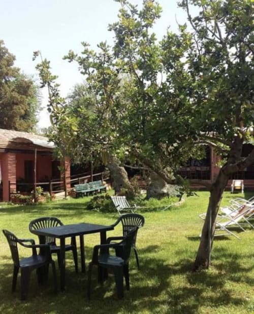 Outdoor seating area at Agriturismo Su Barraccu in Loceri with black table, chairs, and shaded trees on green lawn