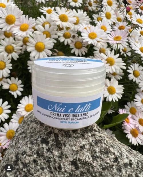 Nai e Lilli chamomile face cream jar displayed on stone with white daisies at Agriturismo Su Barraccu, Loceri