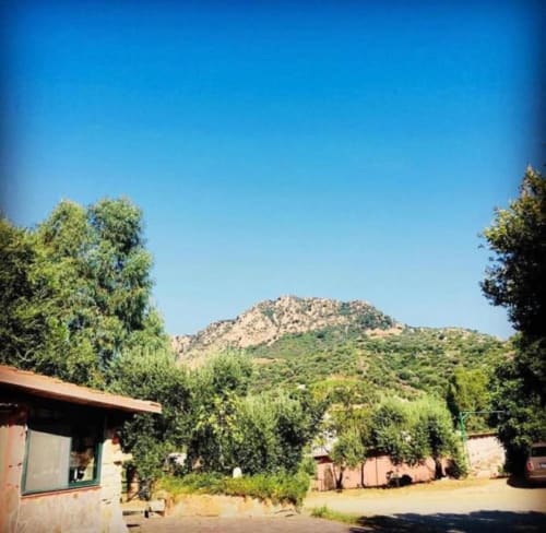 Cortile dell'Agriturismo Su Barraccu con edifici in pietra, alberi rigogliosi e panorama montano a Loceri