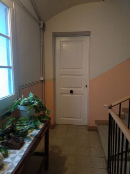 Pasillo del apartamento Cuartel del Montsant en La Granadella con puerta blanca, plantas en maceta y vistas a la montaña