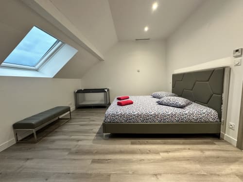 Chambre mansardée moderne aux Gîtes Les Camélia avec lit queen-size, lucarne, parquet et coin salon