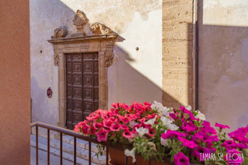 Porta in legno ornato con elementi decorativi su edificio colorato a Sciacca, Sicilia, con vibrant petunia rosa in fiore