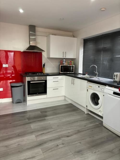 Modern kitchen in Sunbeam Haven bungalow with white cabinets, red backsplash, black countertops, stainless steel appliances,