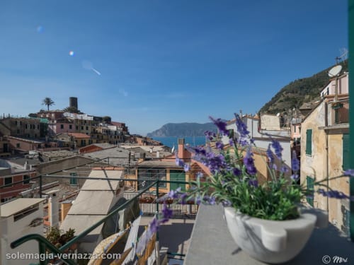 Fiori viola sulla terrazza con vista sul villaggio costiero di Vernazza e il mare delle Cinque Terre, guest house SoleMagia