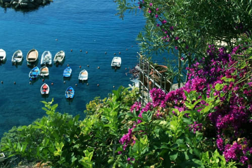 Coloratissime barche ormeggiate in acqua azzurra cristallina sotto la vibrante bouganvillea a SoleMagia a Vernazza