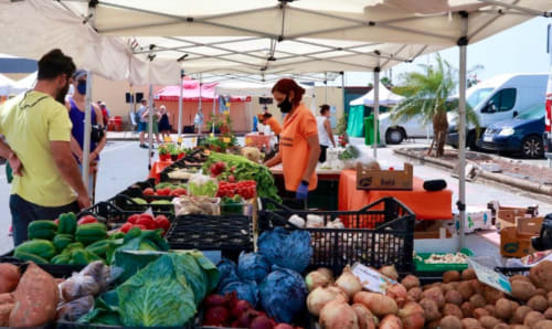 Puesto del mercado agrícola al aire libre en Maspalomas con verduras y productos frescos de colores bajo carpa blanca