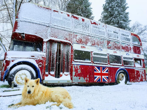 Crèmekleurige hond hangend in de sneeuw voor een iconische rode Britse dubbeldekkerbus bij Les Refuges Du Chalet, Jalhay