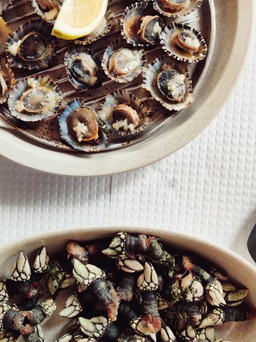 Fresh seafood platter with clams and scallops at Casa do sol Algarve, Lagos Portugal