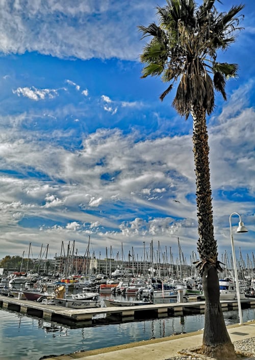 Marina in Lagos, Portugal with sailboats, palm tree, and blue sky with clouds at Casa do Sol Algarve hotel.