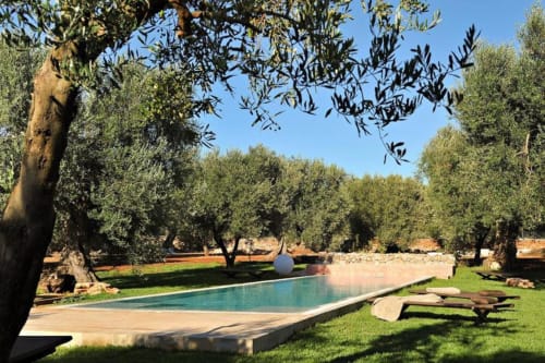 Piscina di Masseria Picca Picca con ulivi e lettini solarium a Morciano di Leuca, Italia