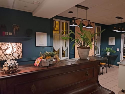 Hall d'hôtel moderne des Deux Porches aux murs bleu-vert foncé, réception en bois, luminaires suspendus et plantes en pot.