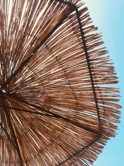 Pergolato intrecciato di fronde di palma con cielo azzurro limpido all'Apartment Tirreno, Tirrenia