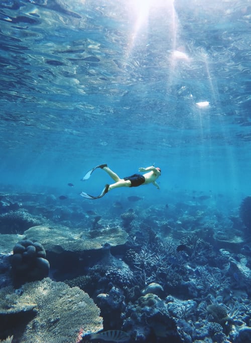 Snorkeler exploring vibrant coral reef near SoleMagia in Vernazzo, Italy