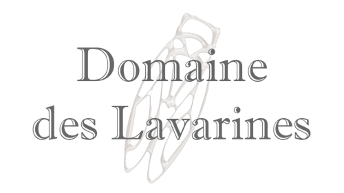 Logo Domaine des Lavarines avec chaussons de ballet, un gîte et chambre d'hôtes à Morières-lès-Avignon, France