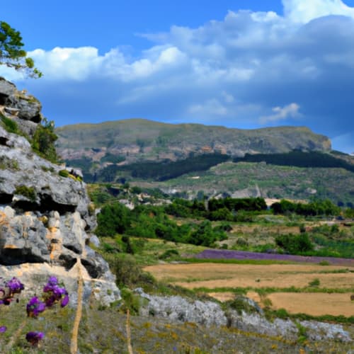 Purple flowers on rocky outcrop overlooking lavender fields and mountains near Lourmarin, Provence