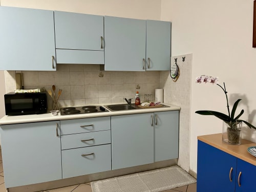 Cucina azzurra con piano cottura, lavello, mobili e pianta di orchidea nell'Apartment Tirreno, Tirrenia