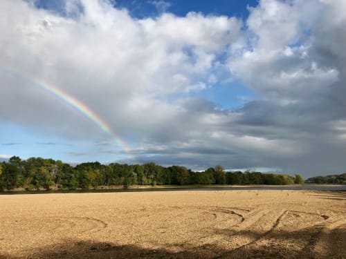 Arc en ciel sur une plage de la loire à Cunault ©SAS ESQAL