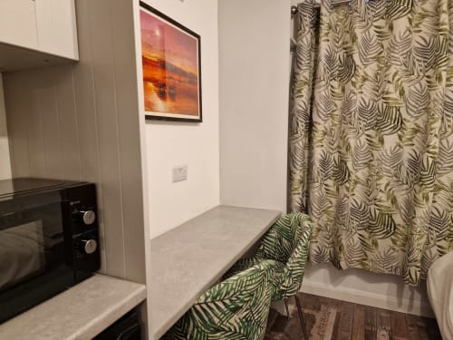 Modern studio apartment kitchen and bedroom area with integrated appliances, fern-patterned curtains, and sunset artwork at