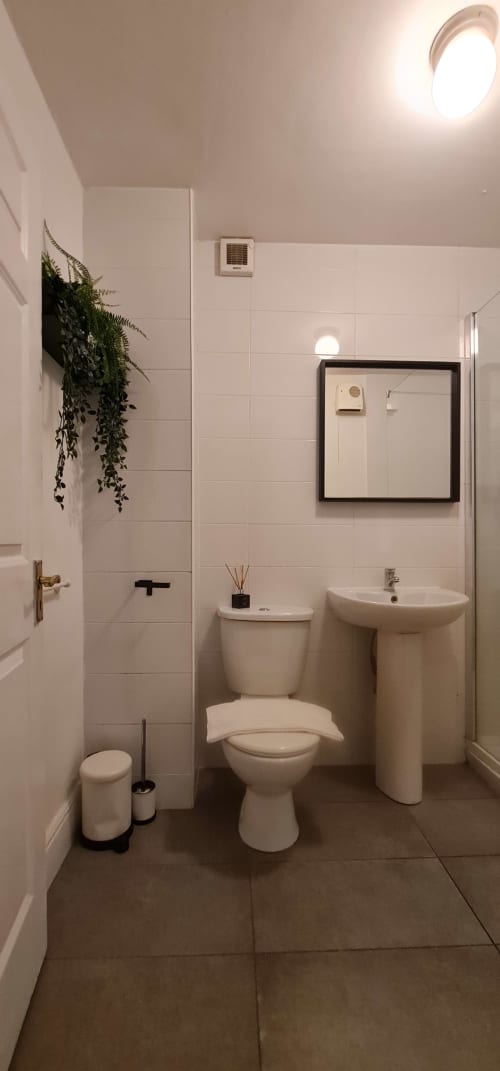 Modern bathroom in Dublin Exchange Suites apartment with toilet, pedestal sink, mirror, and potted plant
