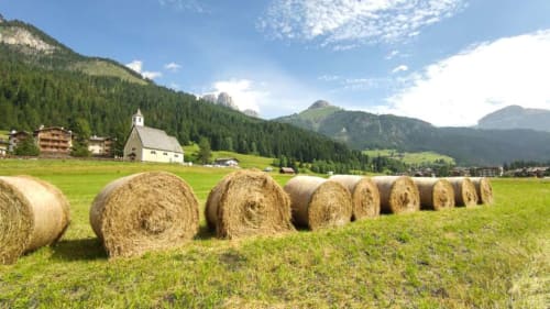 Alpengrasland mit Heuballen nahe der Residenza Rodolon in Mazzin, Dolomitental