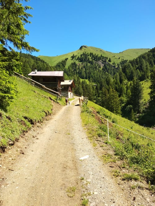 Bergwanderweg zur Residenz Rodolon in Fontanazzo-Mazzin, umgeben von grünen Hängen und Nadelwäldern