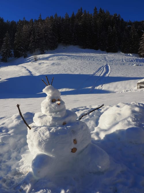 Schneemann in Winterlandschaft mit gefrorenem See und schneebedecktem Wald bei Residence Rodolon, Mazzin