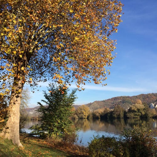 Clairseine, Lantern, countryside, Normandy, Impressionism, waterside, banks of the Seine, the Seine, calm, silence, garden, 100 km from Paris, Giverny, Rouen, Val de Reuil, Louviers, Eure, Les Andelys, Claude Monet, Impressionists, eco-friendly, privacy, romantic getaway, couples getaway, rejuvenation, Le Vaudreuil, Tournedos-sur-Seine, Porte de Seine, Nature, France, Design, vintage, decoration, comfort, high-end, luxury, pleasure, terrace, park, private, decoration, high-end, beautiful amenities, view of the Seine, fishing, hiking, rest, rejuvenation, pontoon, boat, all seasons, spring, summer, autumn, winter, flavours, pets friendly, LGBTQ, hiking, cycling, hidden gem, golf, fishing, deck, by the river, landing beaches