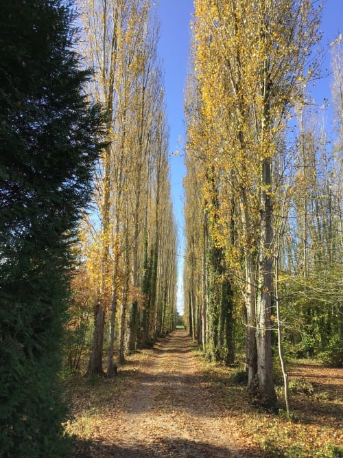 Clairseine, Lantern, countryside, Normandy, Impressionism, waterside, banks of the Seine, the Seine, calm, silence, garden, 100 km from Paris, Giverny, Rouen, Val de Reuil, Louviers, Eure, Les Andelys, Claude Monet, Impressionists, eco-friendly, privacy, romantic getaway, couples getaway, rejuvenation, Le Vaudreuil, Tournedos-sur-Seine, Porte de Seine, Nature, France, Design, vintage, decoration, comfort, high-end, luxury, pleasure, terrace, park, private, decoration, high-end, beautiful amenities, view of the Seine, fishing, hiking, rest, rejuvenation, pontoon, boat, all seasons, spring, summer, autumn, winter, flavours, pets friendly, LGBTQ, hiking, cycling, hidden gem, golf, fishing, deck, by the river, landing beaches