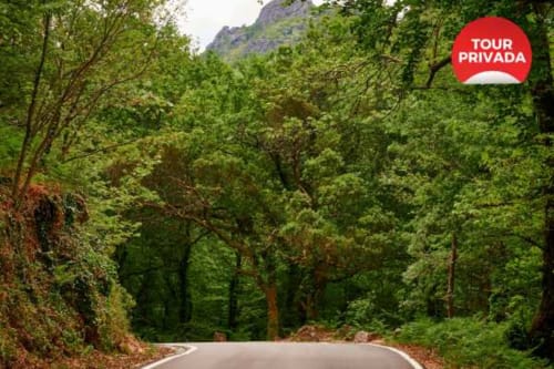 Estrada arborizados levando ao hotel Casa da Luz Gerês em Vieira do Minho, Portugal