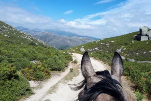 Trilha para passeio a cavalo entre colinas verdes e montanhas perto da Casa da Luz Gerês em Vieira do Minho, Portugal