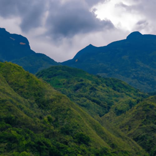 Paisaje de exuberante valle montañoso con densa vegetación forestal y dramáticos picos azules bajo cielo nublado