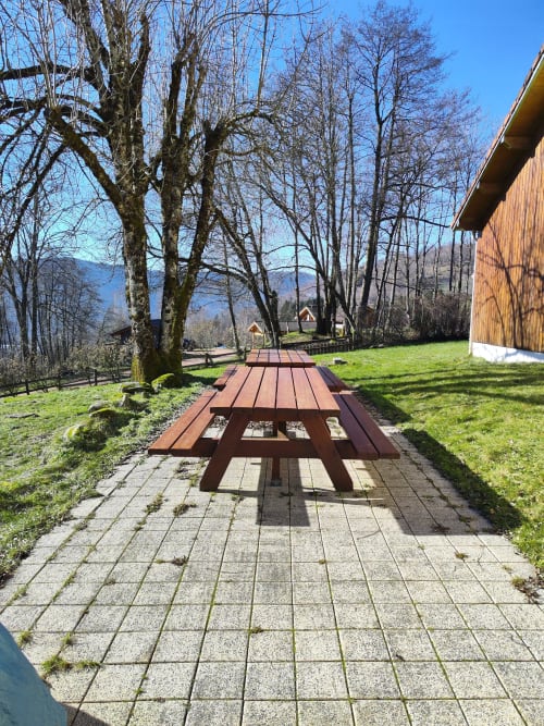 Table de pique-nique sur terrasse pavée bordée d'arbres nus à la Repaire Des Darous à Saulxures sur Moselotte