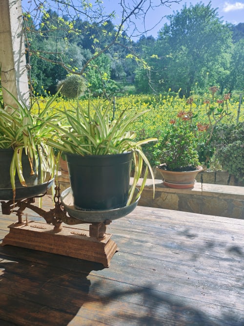 JARDIN COMEDOR