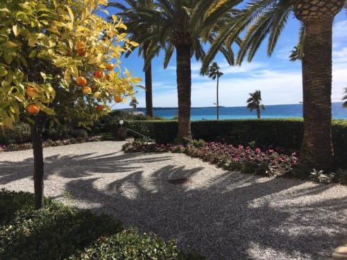 Mediterranean garden at Azur Studios Cannes with palm trees, orange tree, pink flowers, and blue sea view