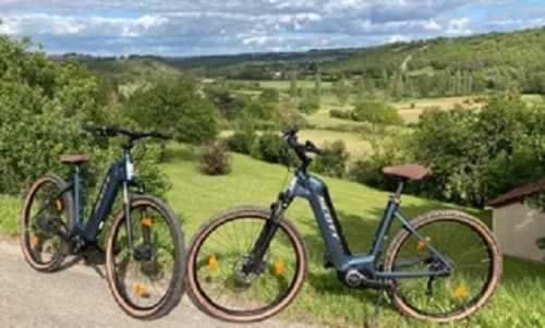 vélos électriques