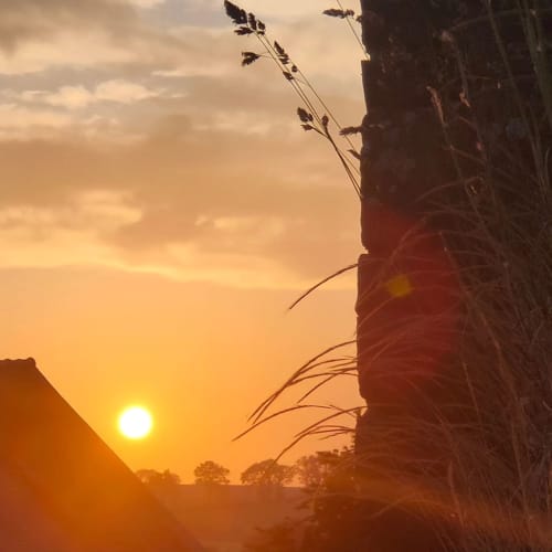 coucher de soleil, été, nature, chênes, bretagne, coeur de bretagne, kalon breizh