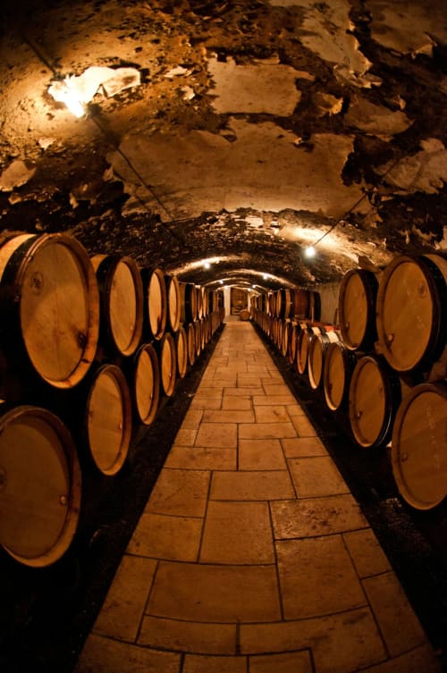 Túnel de bodega con barriles de vino en el hotel Bungalow Buda Beach de Chipiona, España