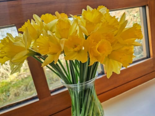 Flowers in Valley View Room at 2 Ailwood Farm Holidays, Dorset, Jurassic Coast, Walking, Cycling, Climbing