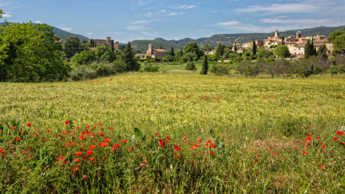 Red poppies in wheat field with medieval village of Lourmarin in Provence background