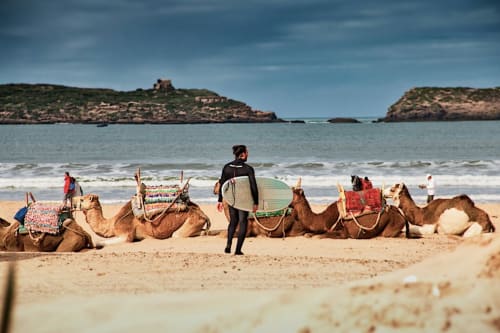 Surfer with board at Essaouira beach with camels and coastal cliffs, near Marrakech