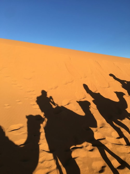 Shadows of camel riders on golden sand dune desert experience